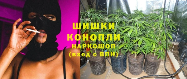 молекула духа Болхов
